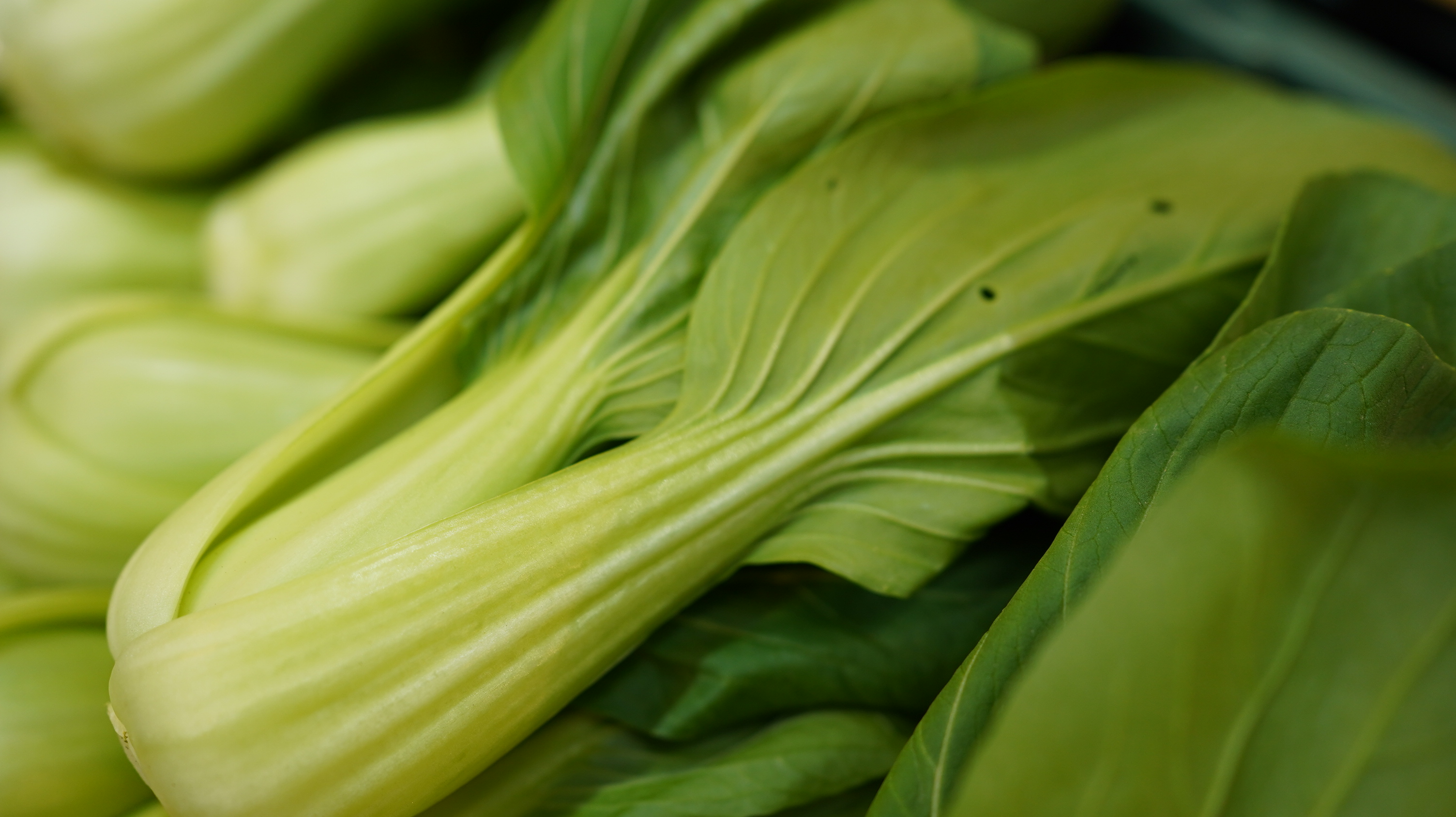 大青江菜Qingjiang cuisine/350g