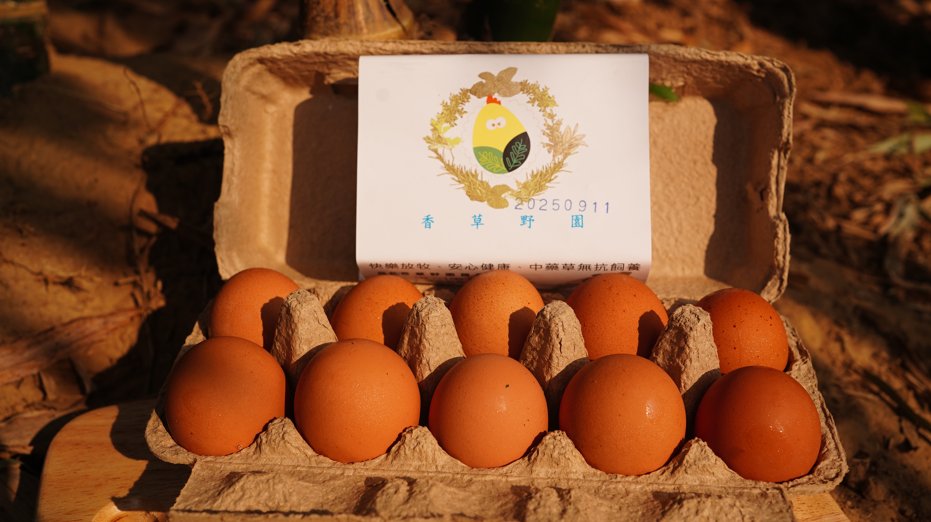 野園無抗飼養雞蛋 Free-range eggs/10顆*兩盒