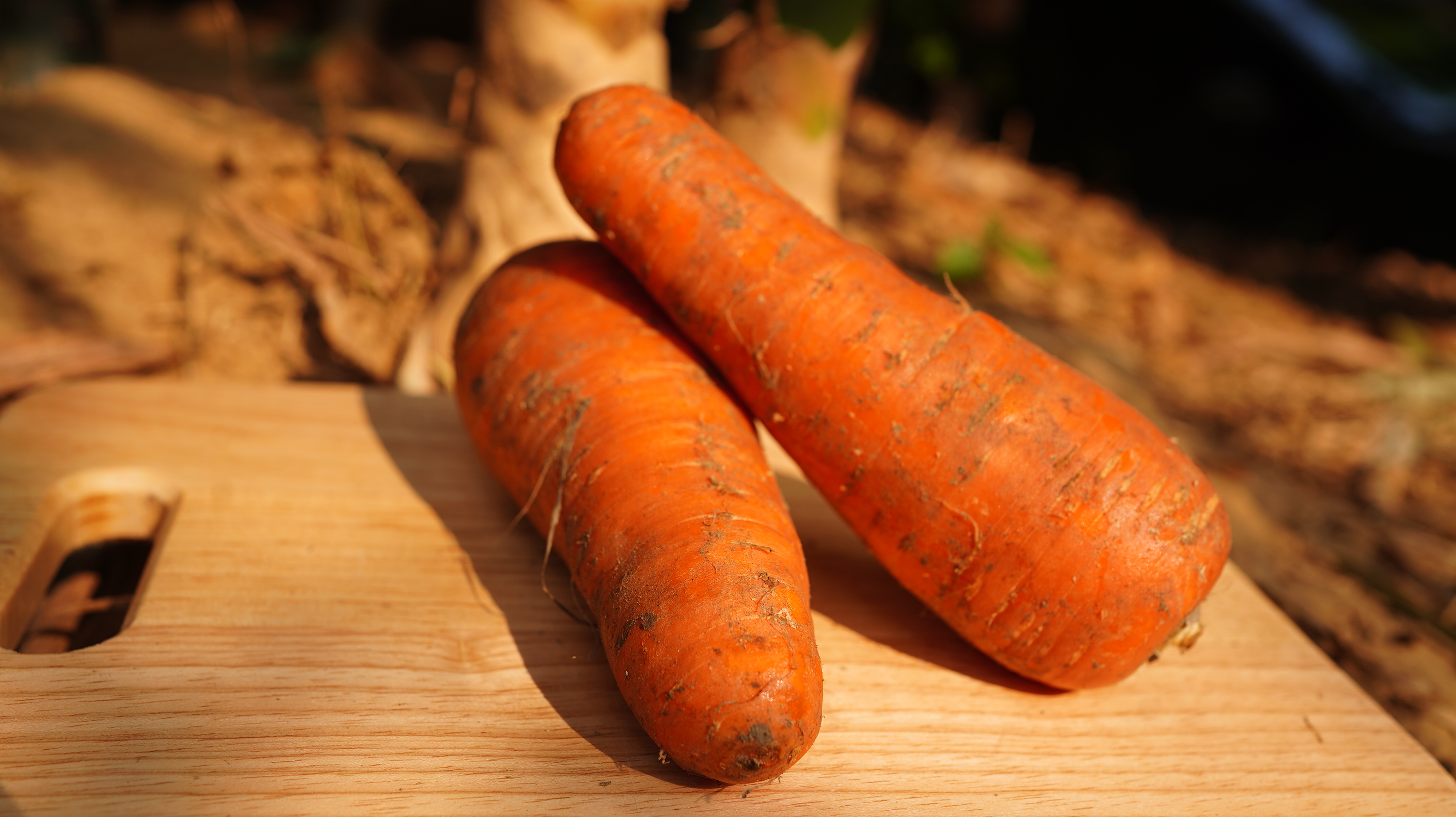 紅蘿蔔/Carrot 秤重 多退少補