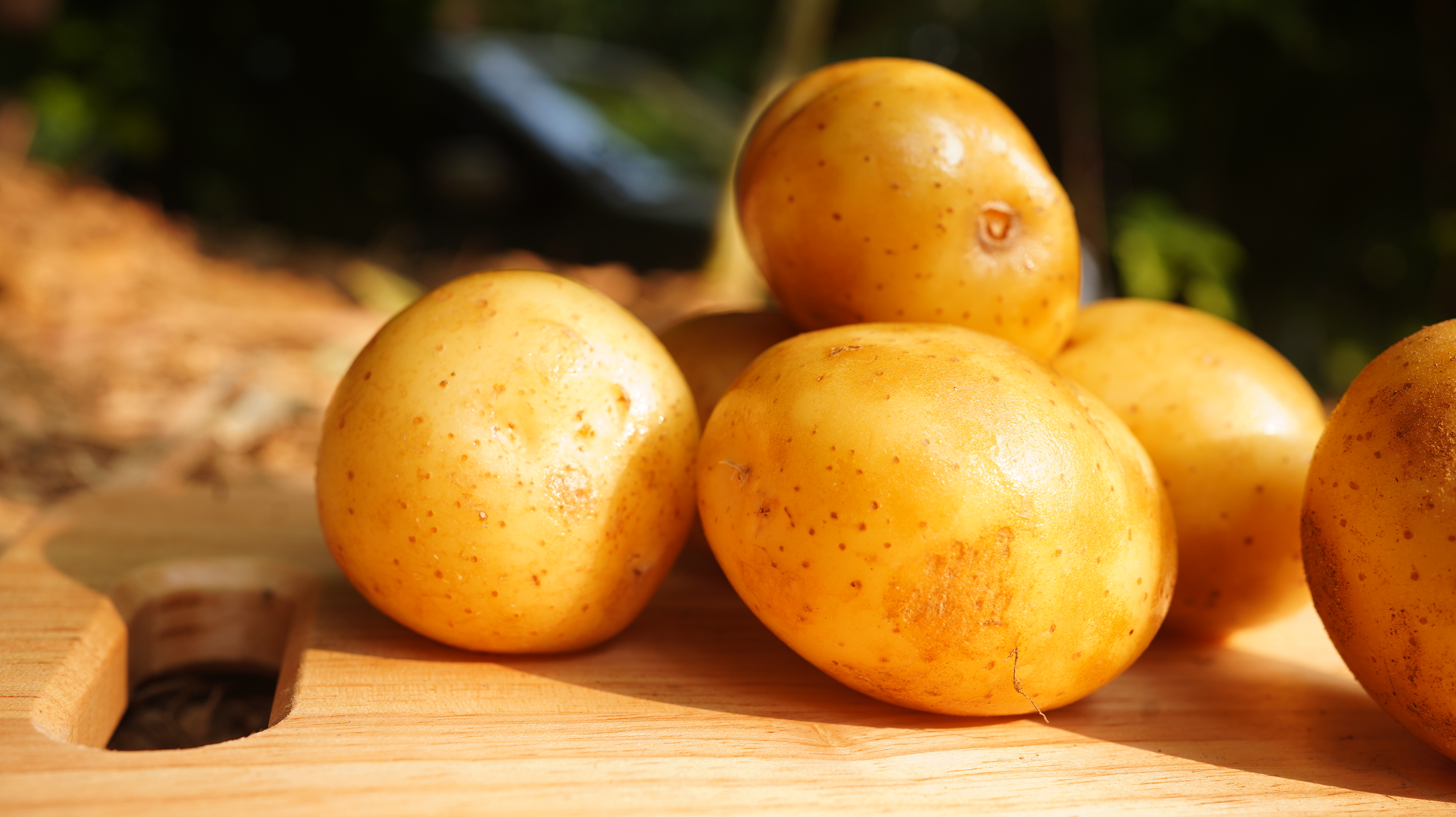 澳洲超好吃馬鈴薯/Australian potato 300g - 第1張圖