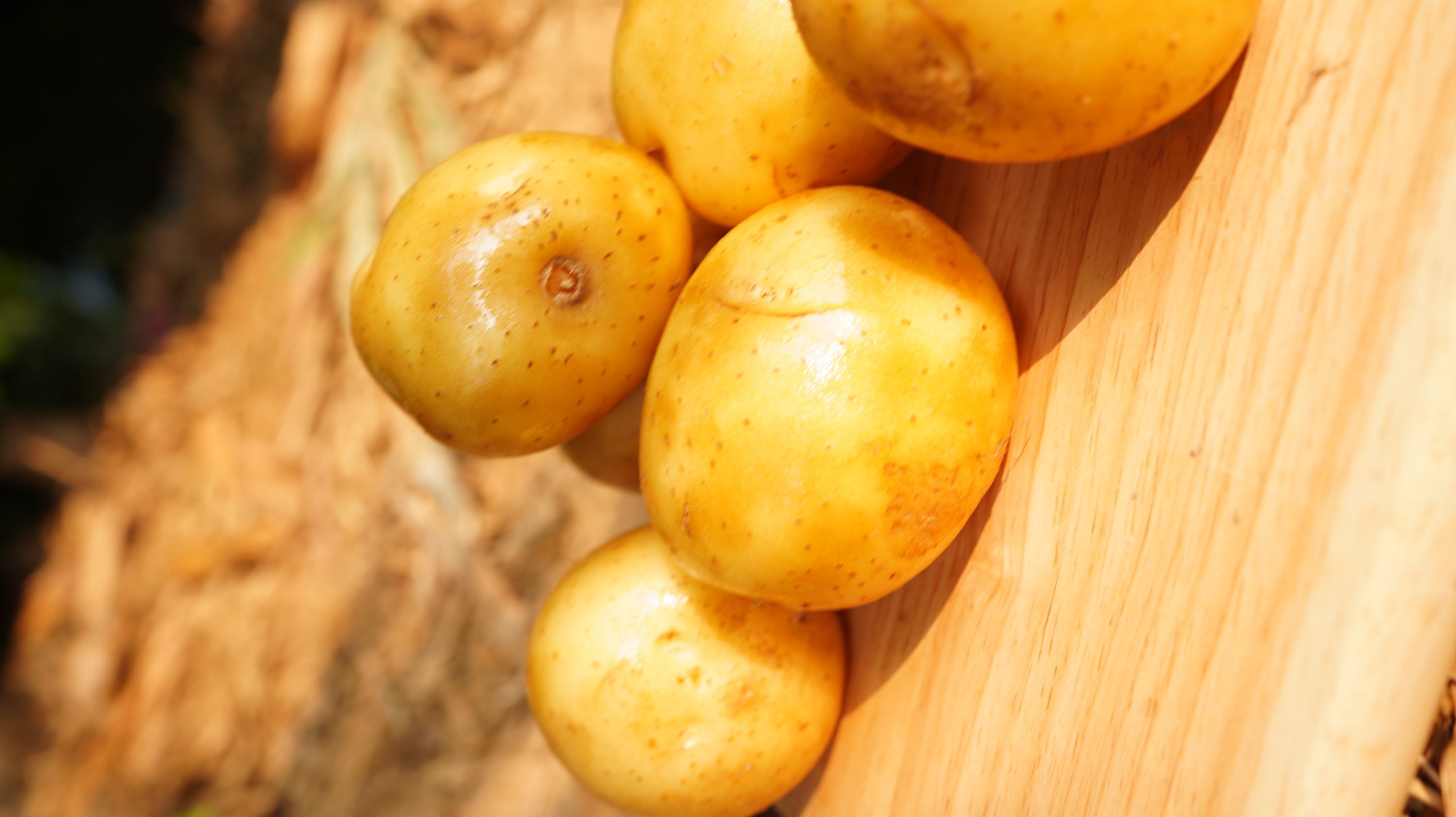 澳洲超好吃馬鈴薯/Australian potato 300g