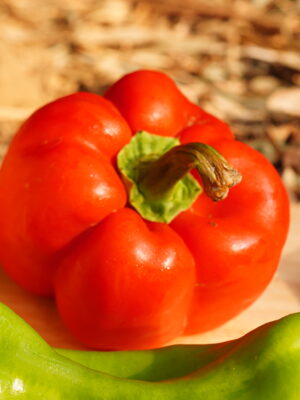 紅色甜椒Sweet pepper-red／約170g 秤重多退少補