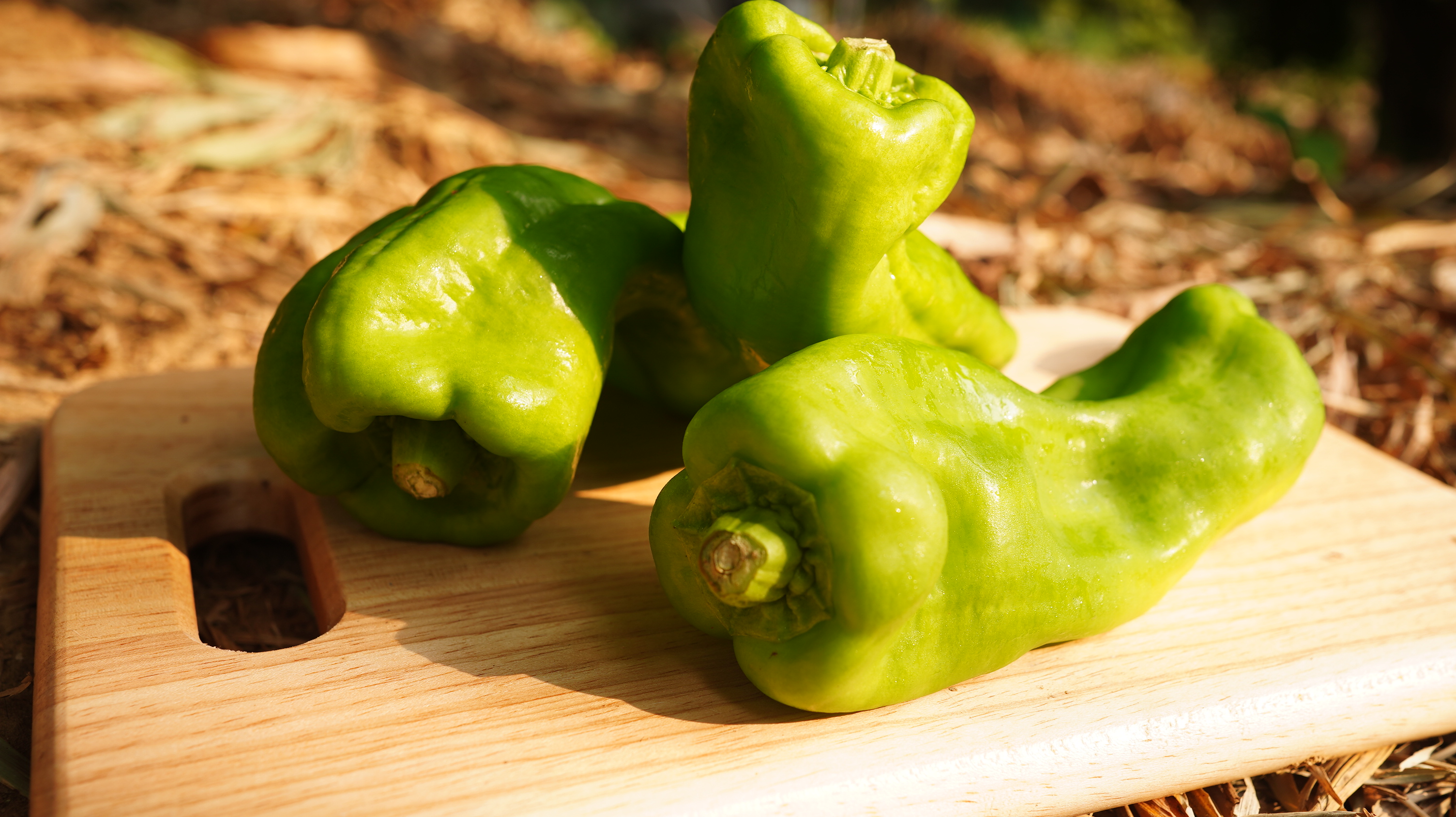 青椒/Green pepper 300g