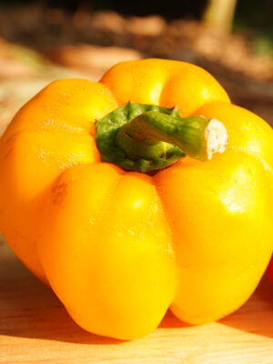 黃色甜椒Sweet pepperr-yellow／約170g 秤重多退少補