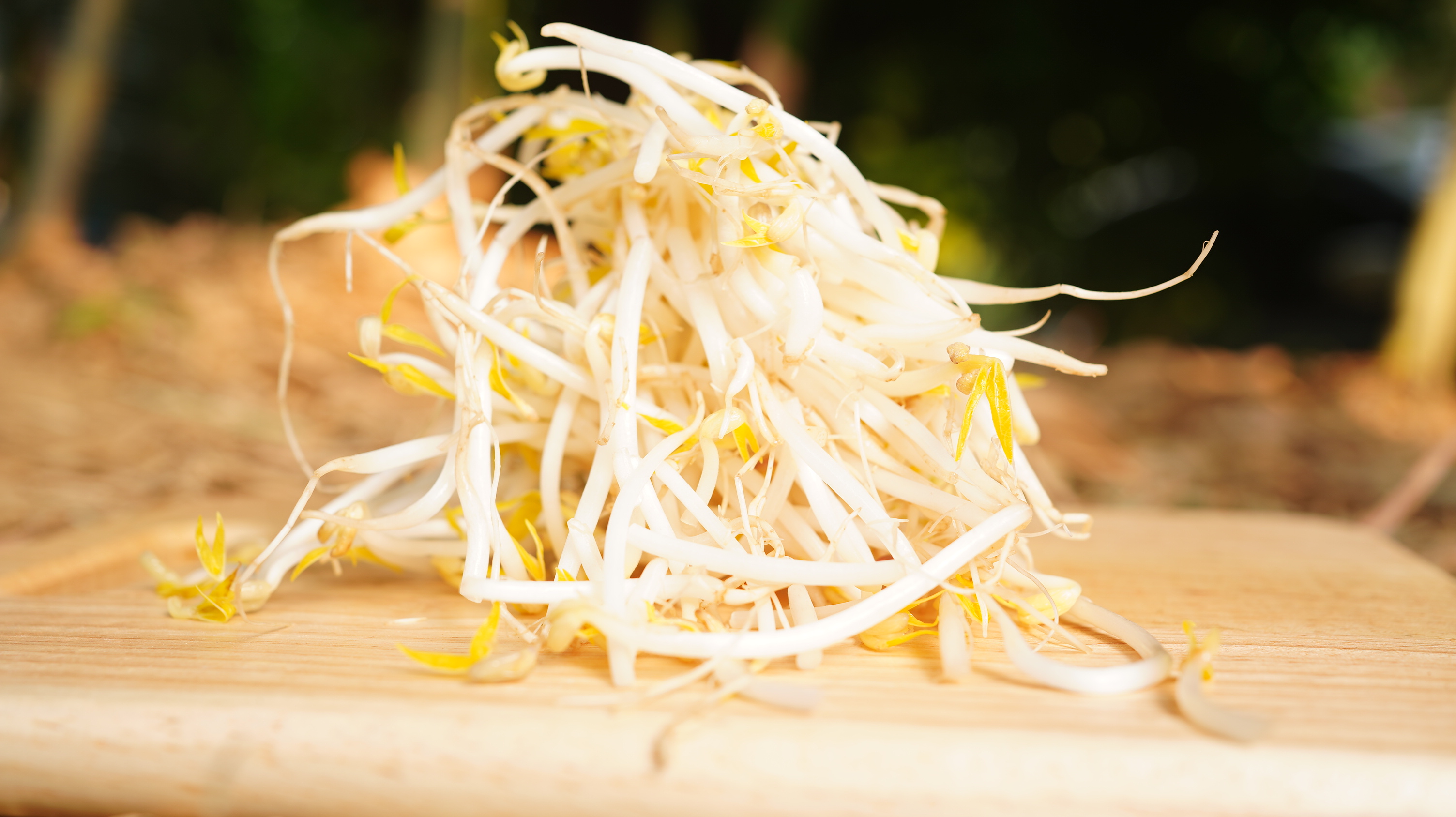 綠豆芽Mung bean sprouts/230g