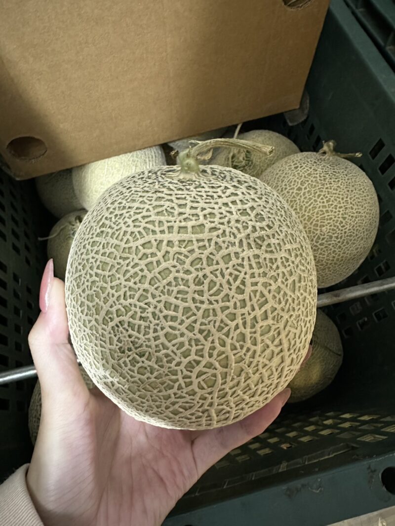 日系阿露斯哈蜜瓜  Japanese Earl's Melon / 秤重/顆 多退少補