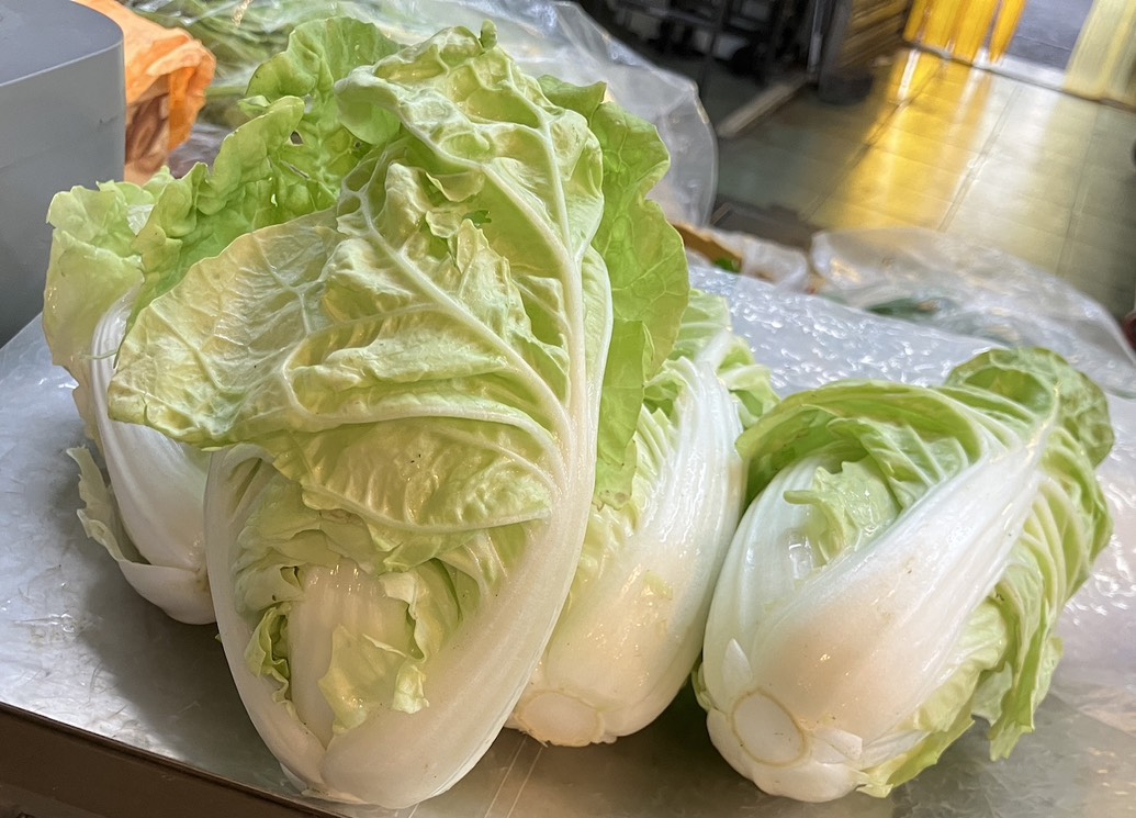 鎮西堡包心白菜Chinese cabbage from Cinsbu/400g