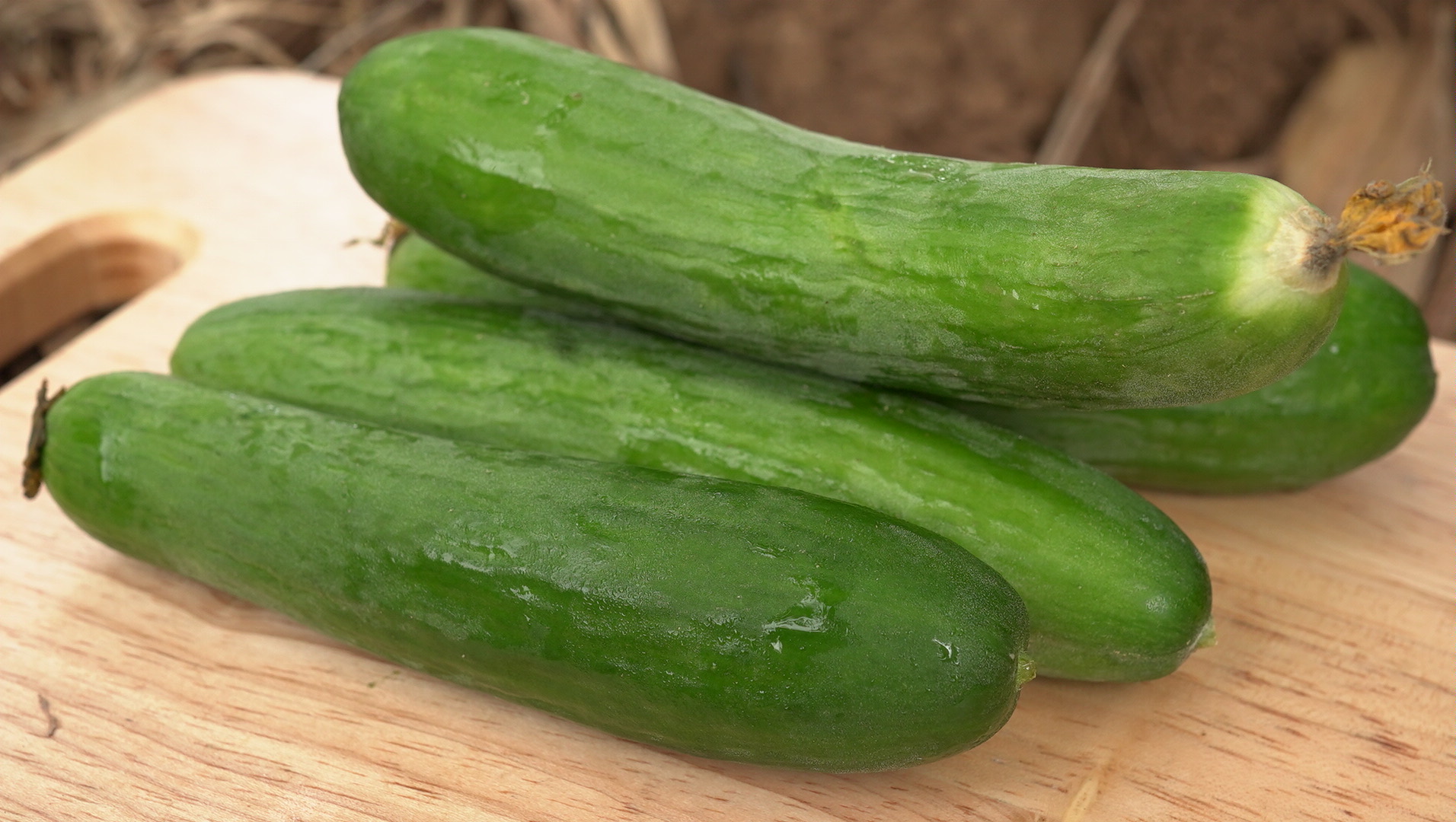 水果小黃瓜Fruit gherkin／300g 半斤