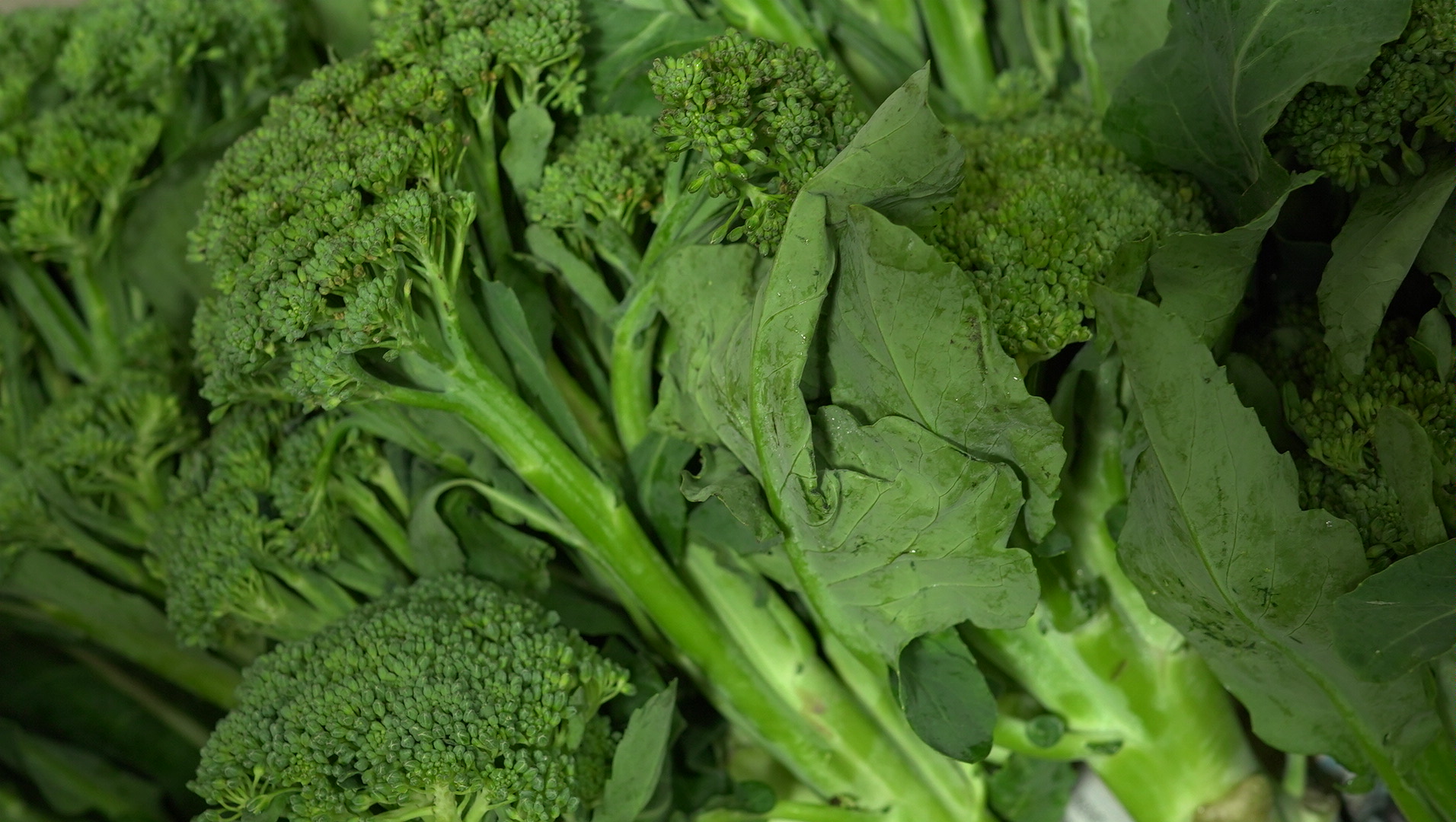 復興高山青花筍 Broccolin／400g