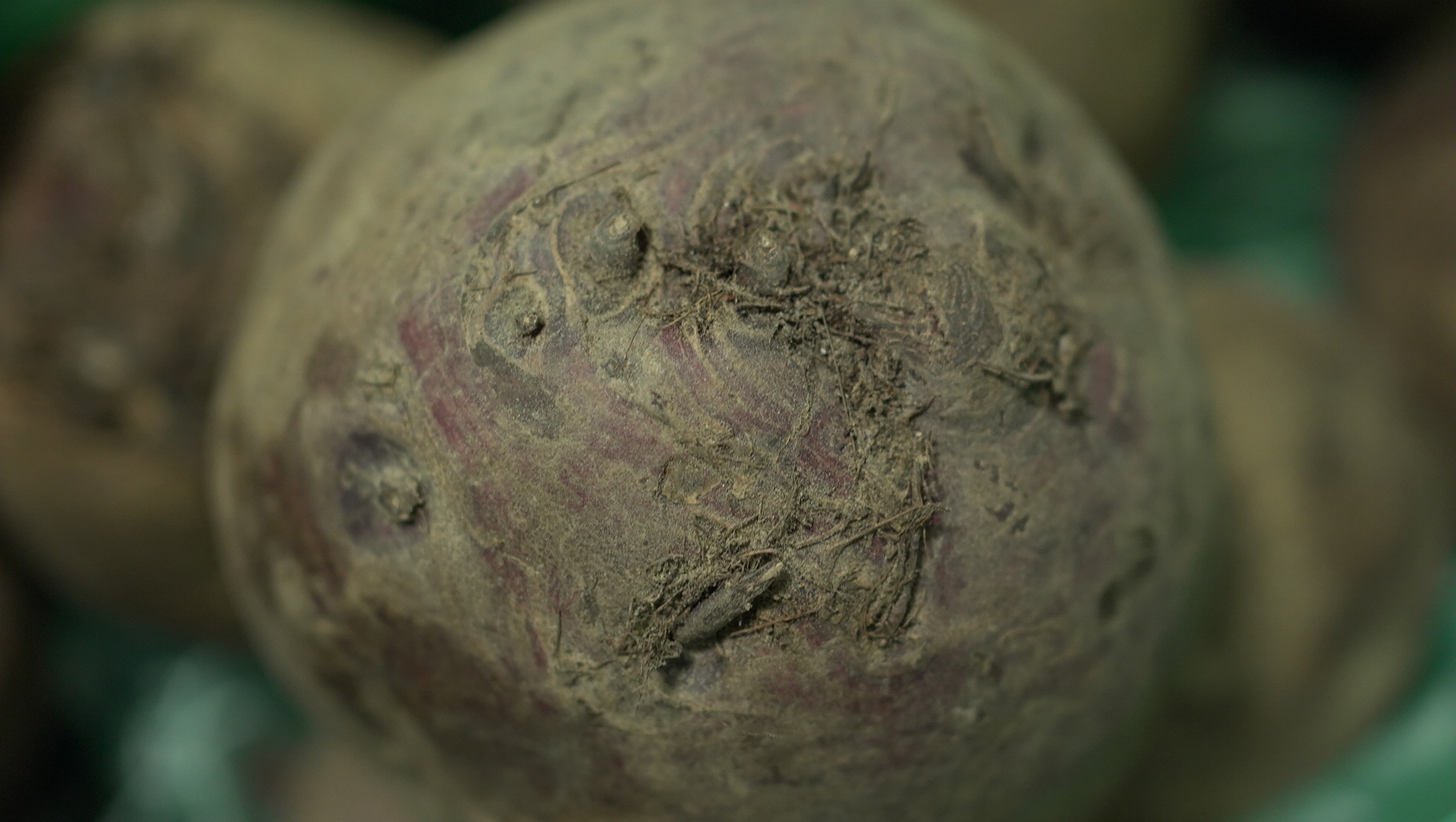 甜菜根 Beetroot／約600g 顆-秤重多退少補