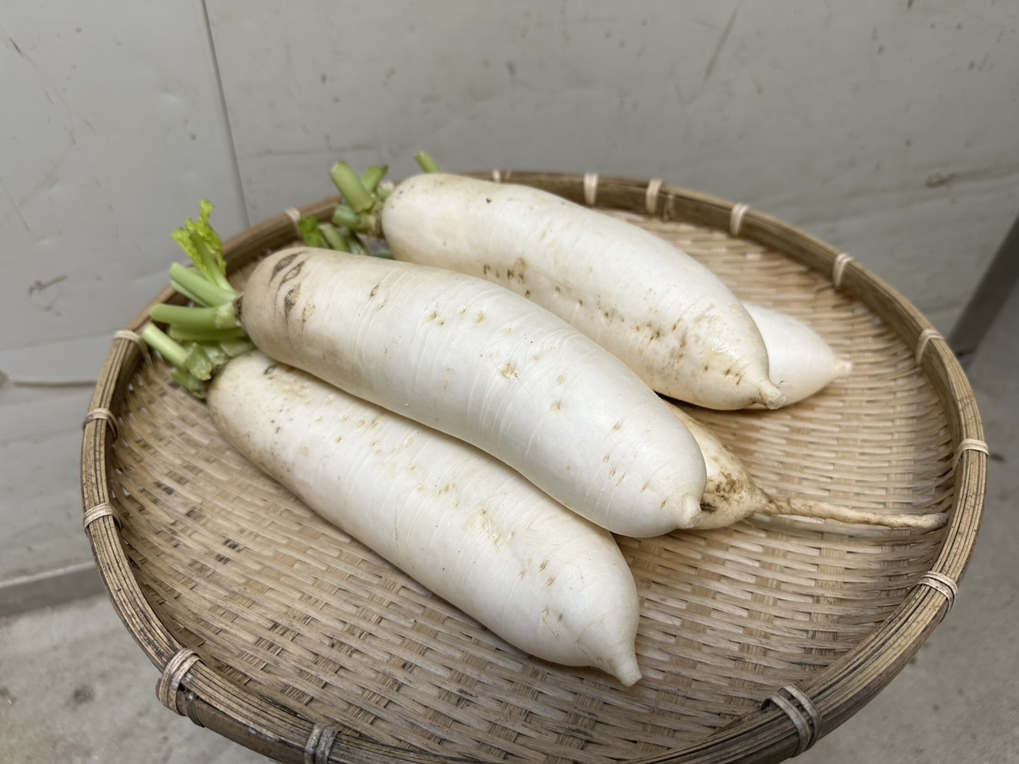 復興高山白蘿蔔White radish／600g 細長