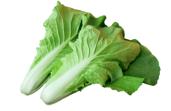 荷葉白菜 lotus leaf cabbag/350g
