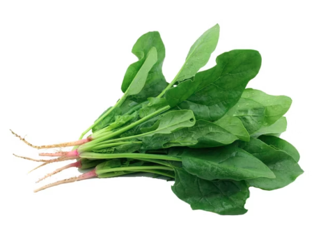 高山菠菜 Asian selfheal／340g