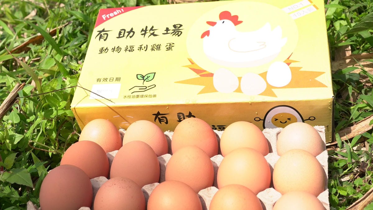 (認證級)田野放牧無抗飼養雞蛋- Free-range eggs／15顆