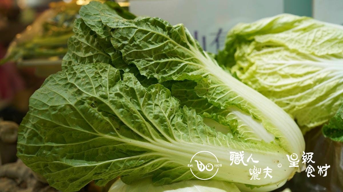 (野農系列)當週預購-有機高山山東白菜Shandong cabbage／1200g -秤重多退少補
