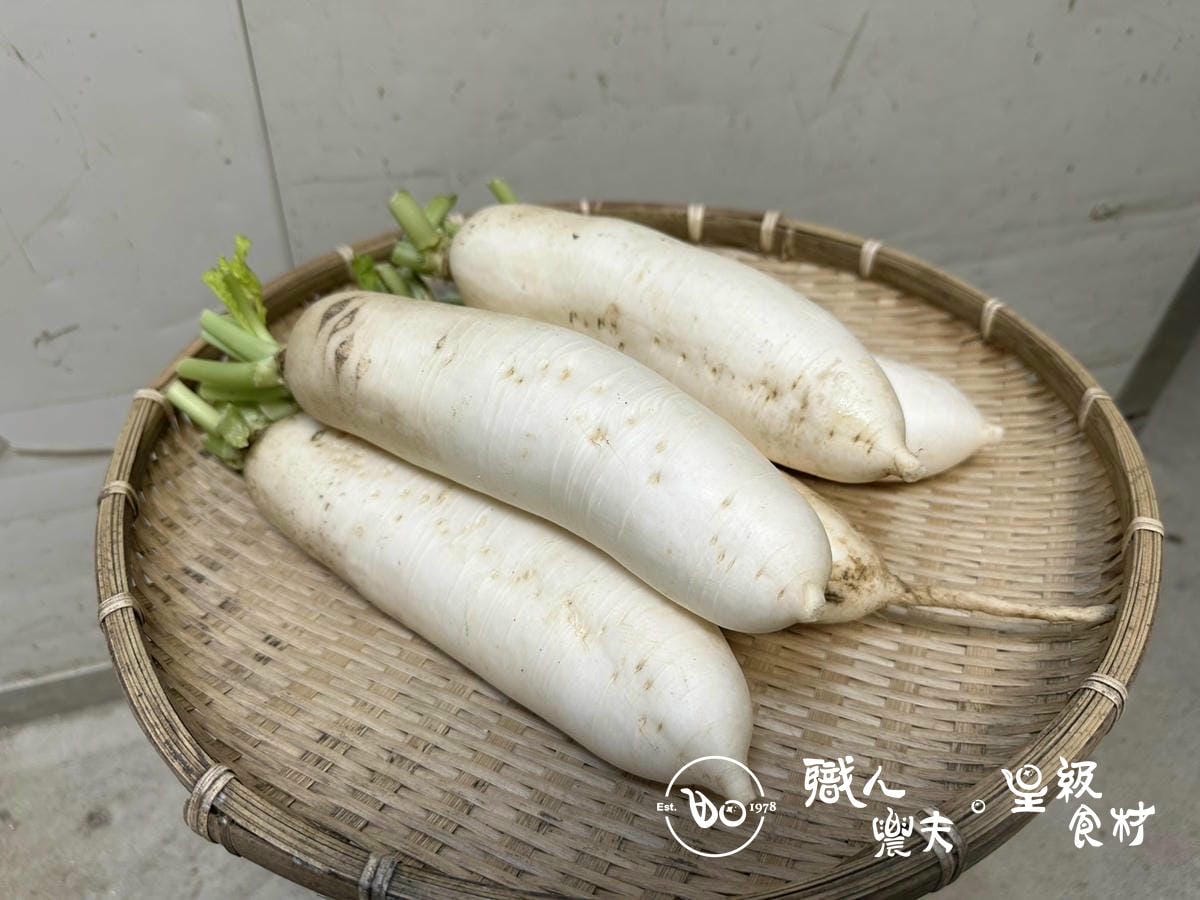 有機復興高山白蘿蔔White radish／600g 細長