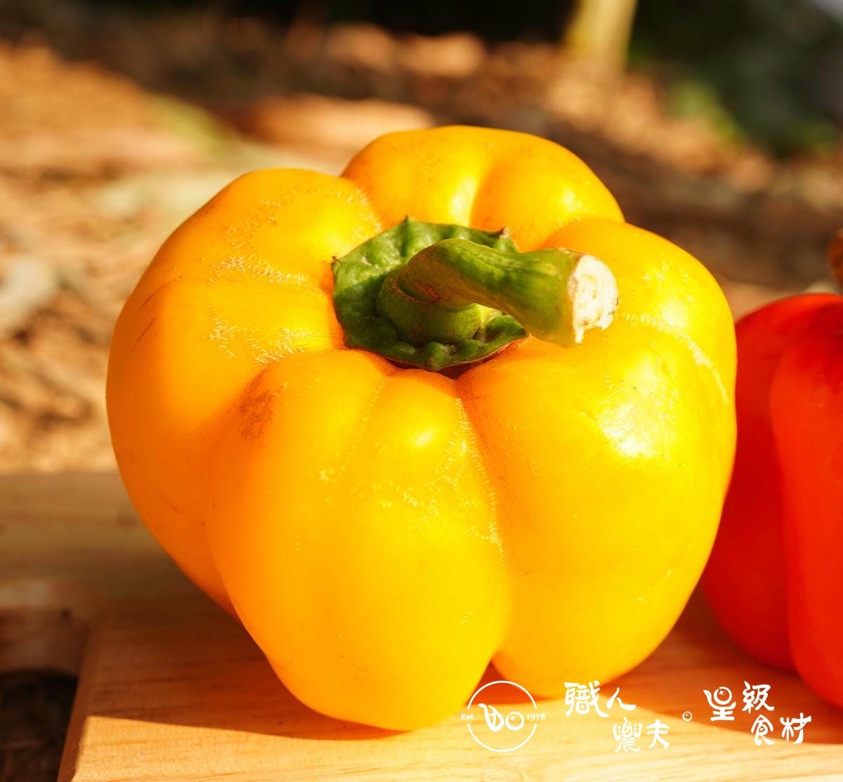 無毒黃色甜椒Sweet pepperr-yellow／約170g 秤重多退少補