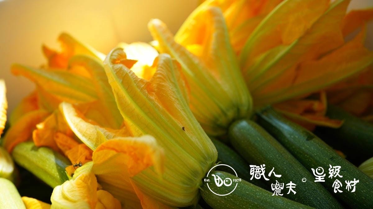 預購限定-有機櫛瓜母花/zucchini FLower*10朵*3份 (約兩到三週送)
