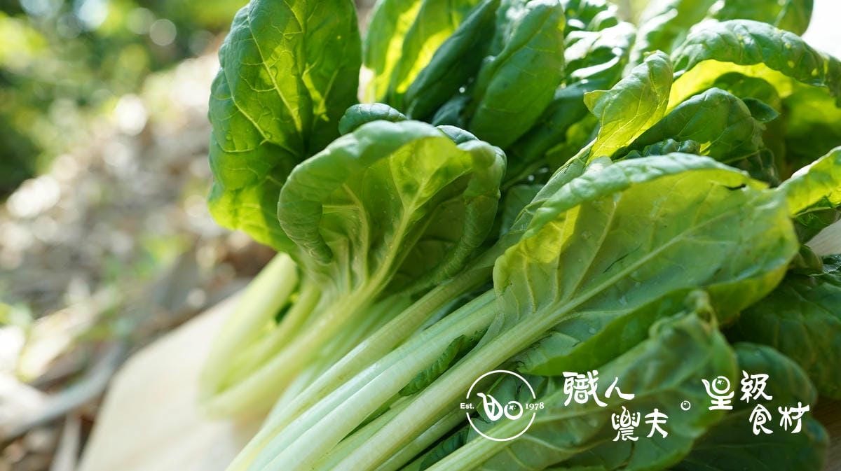 有機塔菇菜 Tatsoi ／340g