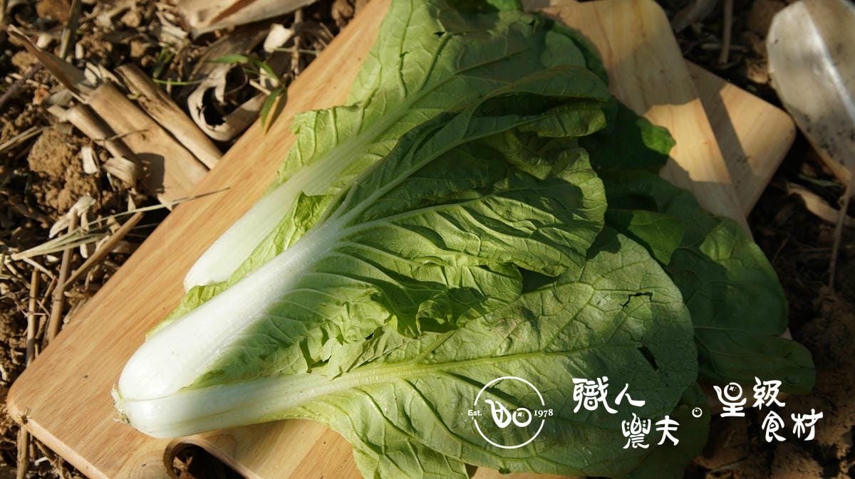 有機小白菜 Bok choy／350g