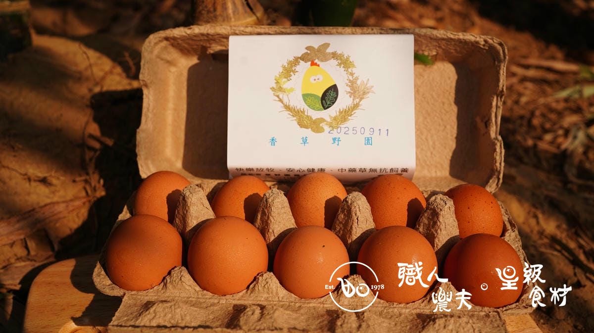 野園無抗飼養雞蛋 Free-range eggs／10顆*兩盒