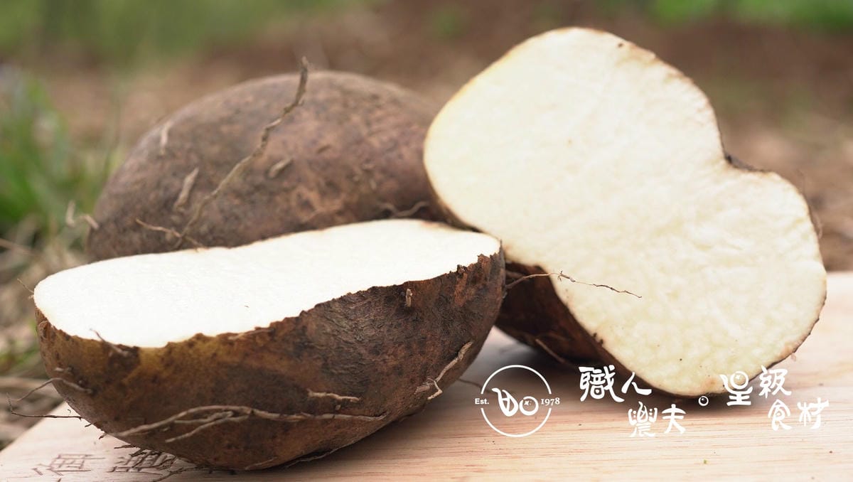 (野農系列)當週預購-麻吉山藥 Mini yam ／約600g 顆-秤重多退少補