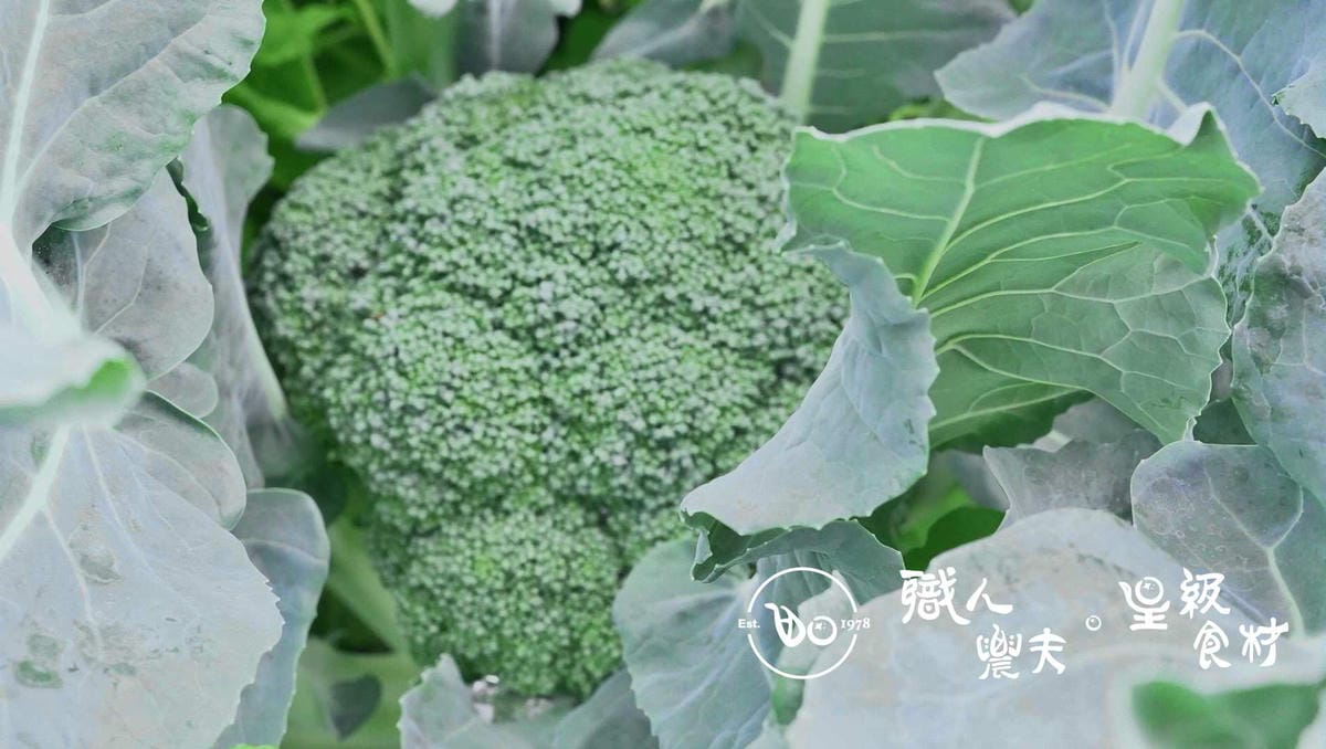 (野農系列)當週預購-有機高山青花筍 Broccolin／400g