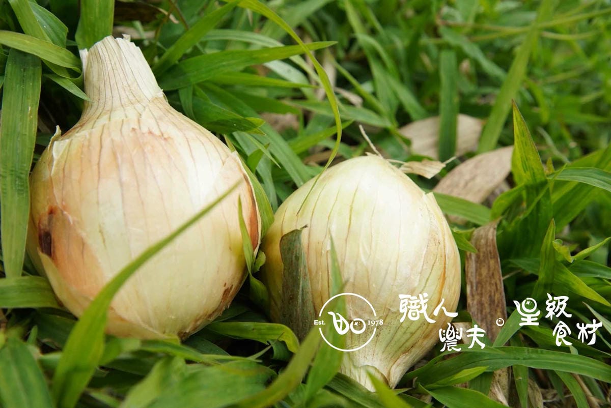 有機洋蔥／約600g