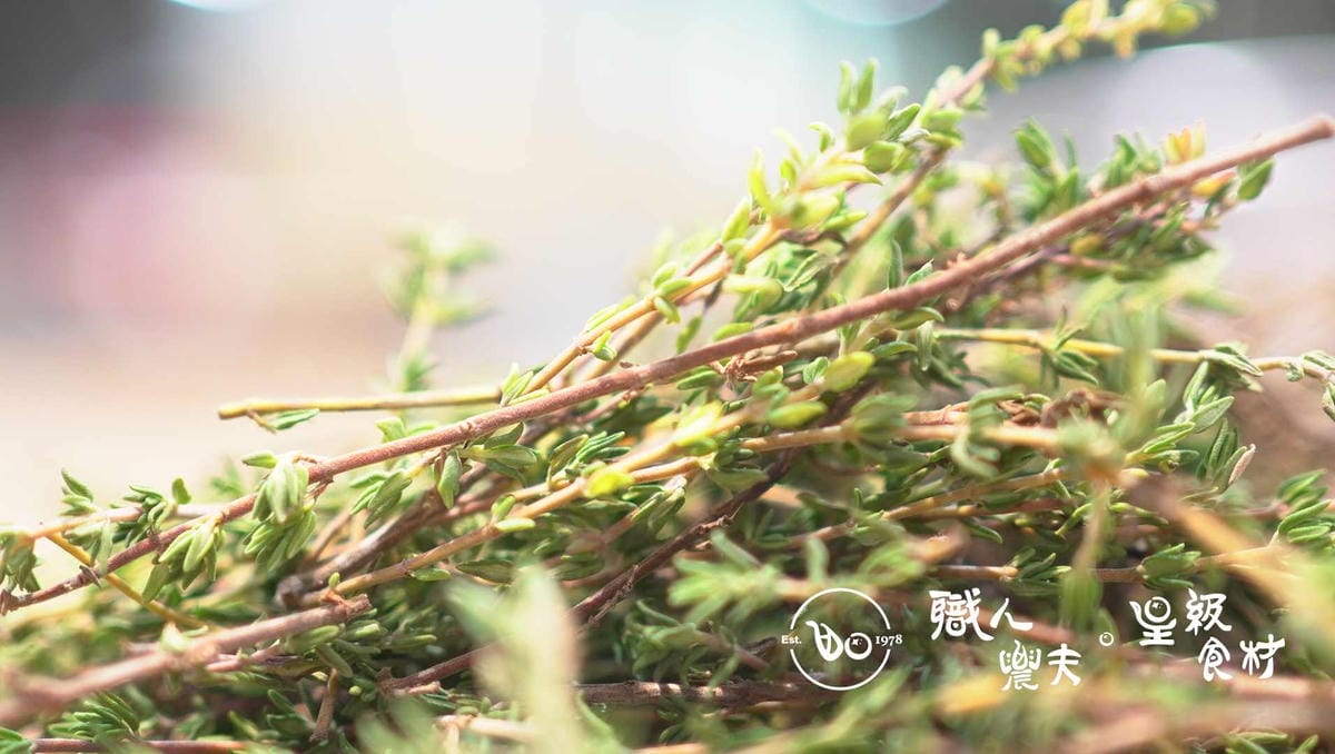 香料- 百里香 Thyme/30g