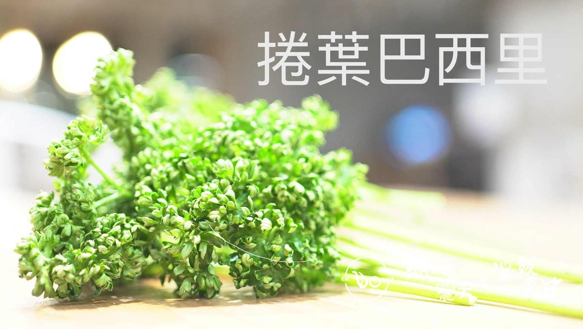 香料- 捲葉巴西里 Curly Parsley/30g